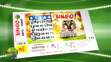 lotto hamburg bingo online spielen